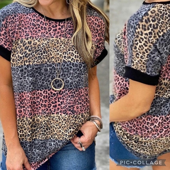 LEOPARD Striped Colorblock T-shirt - Picture 1 of 1